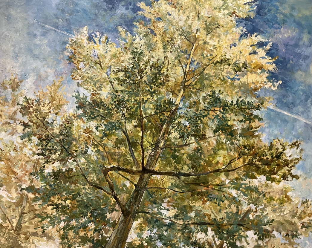 パークホテル賞　グランプリ公孫樹